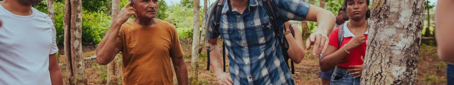 Professor Brad Olsen in a baseball cap looking at a tree, students from MIT and MUSA, surrounding him in the Amazon