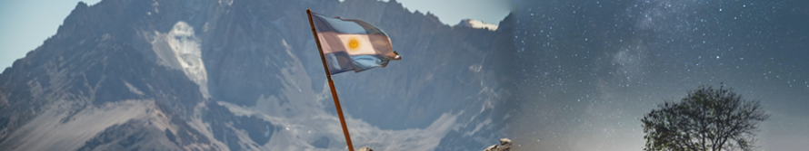 A blend between two photos: On the left an Argentinian flag atop of a rock mountain with the background of a snow-covered mountain. On the right, a tree and a bush at night with a starry sky